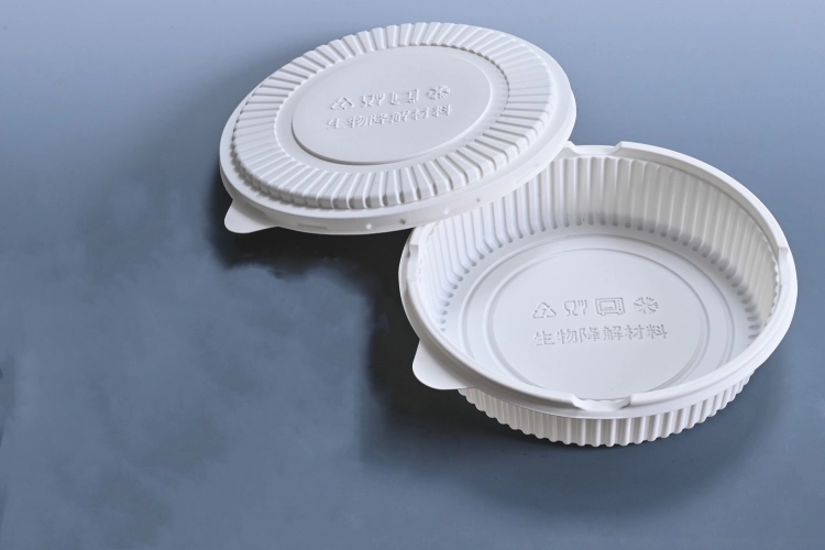 Fully Biodegradable ROUND BENTO BOX
