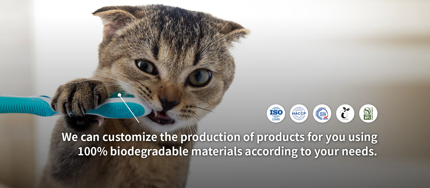 We can customize the production of products for you using 100% biodegradable materials according to your needs.