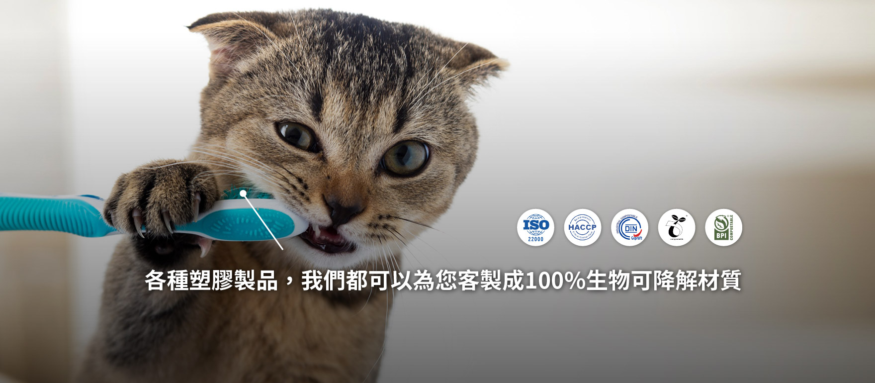 各種塑膠製品，我們都可以為您客製成100%生物可降解材質